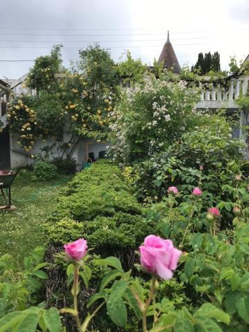 Un Paradis De Verdure En Plein Centre Ville Périgueux Exteriér fotografie